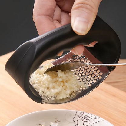 Stainless Steel Garlic Mincer